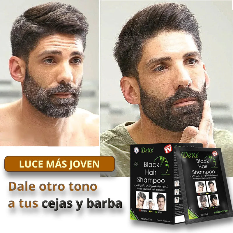 🤩BLACK HAIR DEXE- Shampoo cubre canas X10🤩